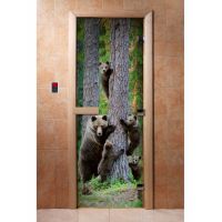 Стеклянная дверь для бани и сауны с фотопечатью 190*70 А064